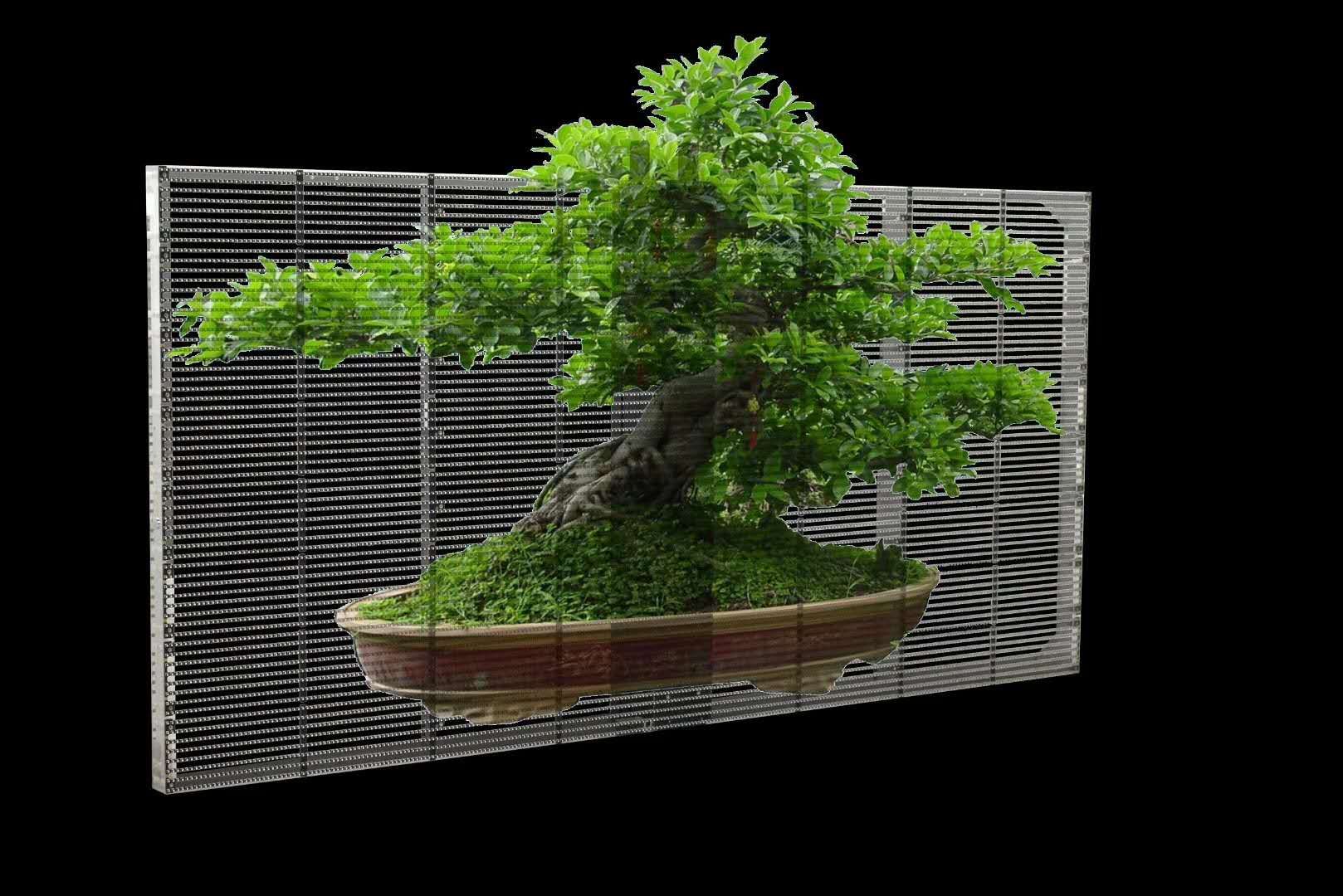 新闻资讯